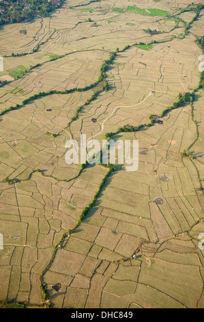 Vue aérienne verticale de brown rizières après la récolte dans la campagne autour de Vang Vieng. Banque D'Images