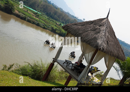 Vue horizontale de touristes reposant, avec une vue magnifique d'éléphants marchant le long d'une rivière dans la campagne du Laos. Banque D'Images