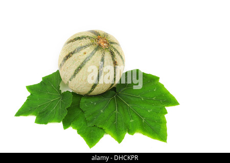 Melone cantaloup isolated on white Banque D'Images