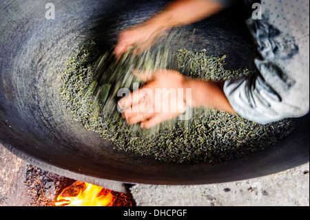 Pan de séchage thé Banque D'Images