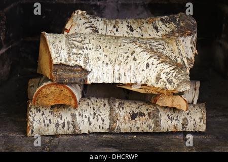 Cheminée avec bois de bouleau. Prête à allumer la flamme. Banque D'Images