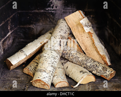 Cheminée avec bois de bouleau. Prête à allumer la flamme. Banque D'Images