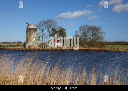Vue d'Oby Mill à côté de la rivière Bure dans les Norfolk Broads Banque D'Images