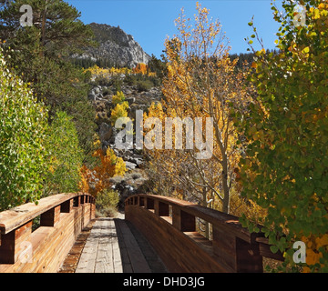 Un pont de bois sur un ruisseau de montagne Banque D'Images