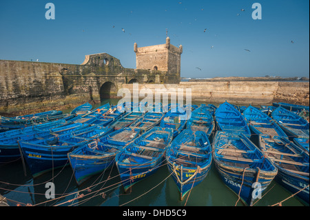 Bateaux de pêcheurs dans le port d'Essaouira, Maroc Banque D'Images