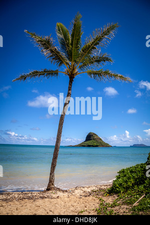 L'île Mokoli'i (anciennement appelée « chapeau de Chinaman ») au large de la côte du vent d'Oahu Banque D'Images