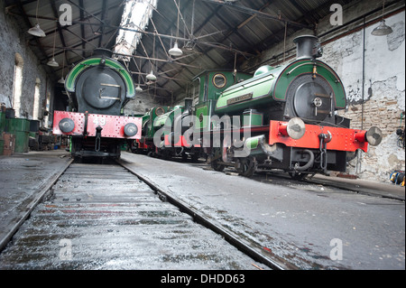 Quatre anciens Coal Board Saddletank locomotives à vapeur reste dans le Marley Hill, y compris de la protection moteur 'Sir Cecil UN Cochrane' sur le chemin de Tanfield, County Durham Banque D'Images