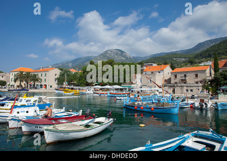 Port avec bateaux de pêche, Bol, Île de Brac, la côte dalmate, en Croatie, en Europe Banque D'Images