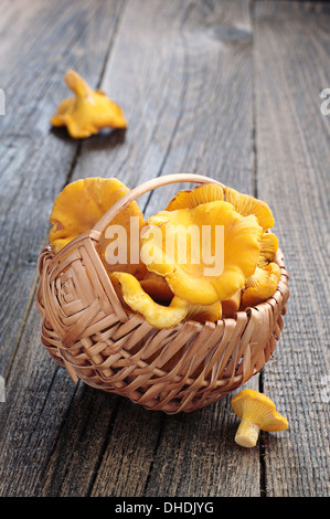 Les chanterelles champignons dans petit panier sur fond de bois Banque D'Images