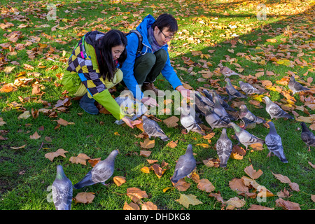 Deux personnes nourrir la population de pigeons dans la ville le pain de leurs mains, dans un parc public, Glasgow, Écosse, Royaume-Uni Banque D'Images