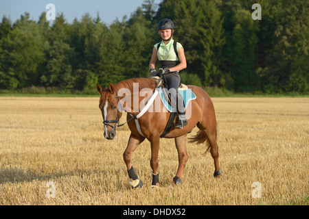 De 13 ans portant un casque et un protecteur de dos sur le dos d'un Cheval de Sport irlandais poney dans un champ de chaume Banque D'Images