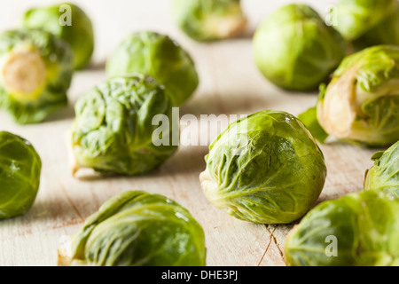 Choux de Bruxelles vert biologique prêt à cuire Banque D'Images