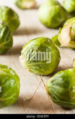 Choux de Bruxelles vert biologique prêt à cuire Banque D'Images