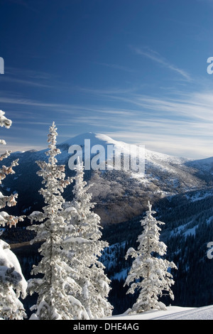 Arbres couverts de neige et Santa Fe Baldy (12 622 pi) de corbeaux Ridge Trail, la Forêt Nationale de Santa Fe, Nouveau Mexique USA Banque D'Images