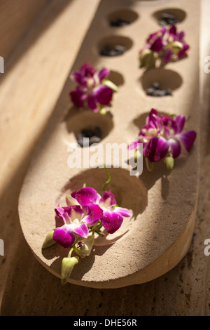 Décoration fleurs baignoire jacuzzi baignoire matériel en hôtel de l'eau bain rose blanc violet lotus orchidées décoration vie beauté light Banque D'Images