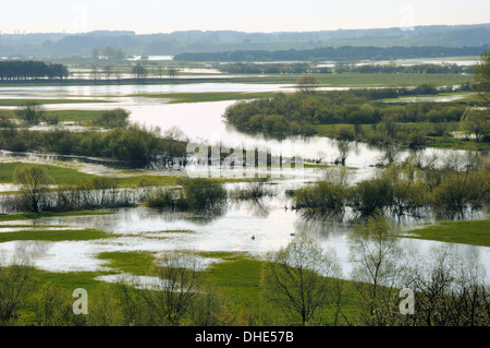 Aperçu de la rivière Biebrza Narew inondées et les marais au printemps de Gora Strekowa, parc national de Biebrza, Pologne. Banque D'Images