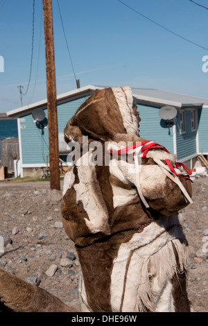 Au Canada, le Nunavut, rive ouest de la Baie d'Hudson, Région de Kivalliq, Arviat. Femme Inuit (Mary) dans la peau de caribou. Banque D'Images