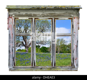 Ancien cadre de fenêtre rustique avec Texas bluebonnet pays vista au printemps, isolé Banque D'Images