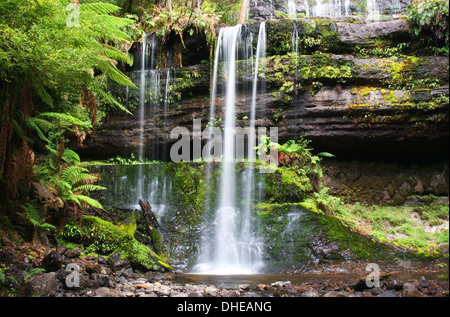 Russell Falls Mount Field National Park en Tasmanie, Australie Banque D'Images