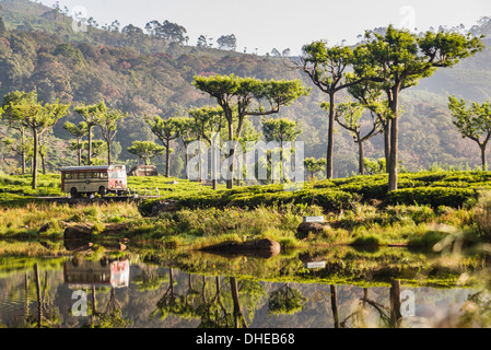 Haputale, réflexions d'un bus public dans un lac dans le district de Nuwara Eliya, Sri Lanka Hill Country, au Sri Lanka, en Asie Banque D'Images