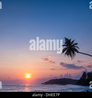 Palmier au coucher du soleil sur la plage de Mirissa tropical, côte sud du Sri Lanka, Province du Sud, Sri Lanka, Asie