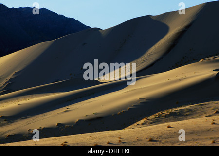 Matin des traces sur le sable Banque D'Images