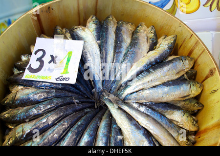 Sardines à Mercado Central (Marché Central), Valencia, Espagne, Europe Banque D'Images