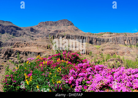 Vue sur le paysage volcanique de Fataga, Gran Canaria, Espagne Banque D'Images