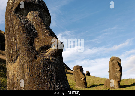 Moai Rano Raraku dans le cratère volcanique de cendre consolidée (TUF), l'île de Pâques, l'UNESCO World Heritage Site, Chili Banque D'Images