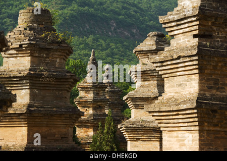 Au cimetière de la forêt de la Pagode du Temple Shaoling, berceau du kung fu, arts martiaux Shaolin, province de Henan, Chine, Asie Banque D'Images