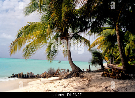 Bangaram Plage, Îles Lakshadweep, l'Inde, de l'Océan Indien, l'Asie Banque D'Images