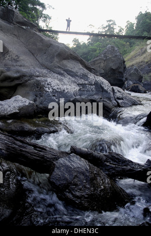 Chemin de randonnée à Kunthipuzha, Silent Valley National Park, district de Palakkad, Kerala, Inde, Asie Banque D'Images