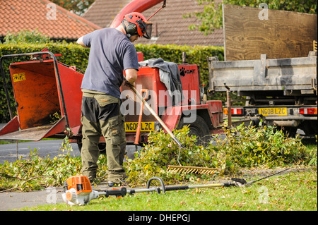 Vue latérale d'un arbre chirurgien dans un casque de ramasser jusqu'à l'extérieur jardin extérieur parures de couverture de l'entretien. Banque D'Images