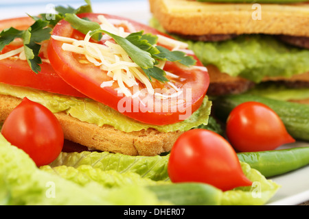 Des sandwichs au salami, fromage, tomates cerise et le persil sur la plaque. Banque D'Images