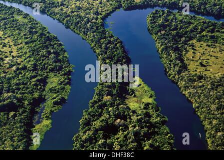 Brésil, Pantanal, vue aérienne, la photographie aérienne, la photo aérienne, l'air abattu, rivière, rainforest, vert, nature, voyage, tourisme, nature, Cessna, vol, vol, de l'environnement ambiant, brésil 2014, voyage destinée au Brésil Banque D'Images