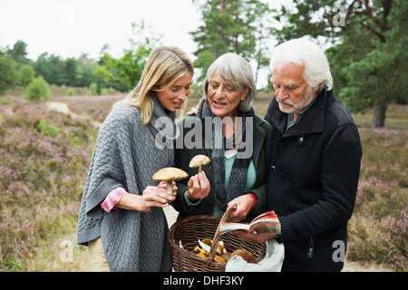 Mid adult woman panier de champignons Banque D'Images