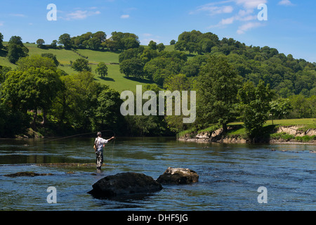 L'homme pêche en rivière Wye, Herefordshire, Angleterre, RU Banque D'Images