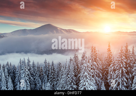 Snovy en hiver montagne Banque D'Images