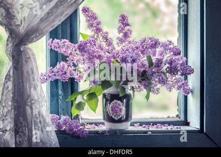 Fleurs lilas sur de vieilles fenêtres Banque D'Images