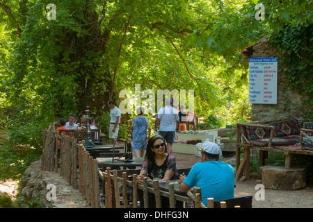 Türkei, Provinz Mugla, Bozburun-Halbinsel Turgutköy, Teehaus, am Wasserfall Banque D'Images