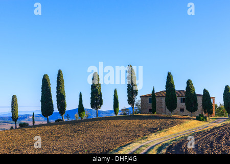 Maison avec le célèbre cyprès au coeur de la Toscane, près de Pienza, Italie Banque D'Images