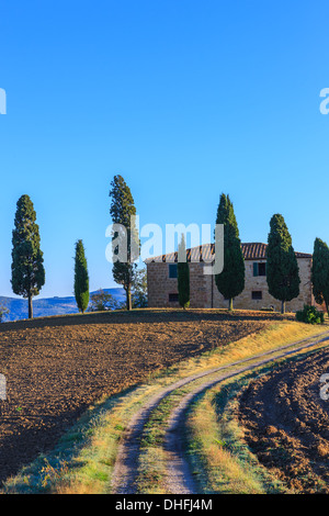 Maison avec le célèbre cyprès au coeur de la Toscane, près de Pienza, Italie Banque D'Images