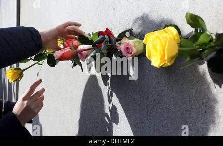 Berlin, Allemagne. 09Th Nov, 2013. Roses coincé dans un fossé du mémorial du mur de Berlin à Berlin, Allemagne, 09 novembre 2013. Photo : STEPHANIE PILICK/dpa/Alamy Live News Banque D'Images