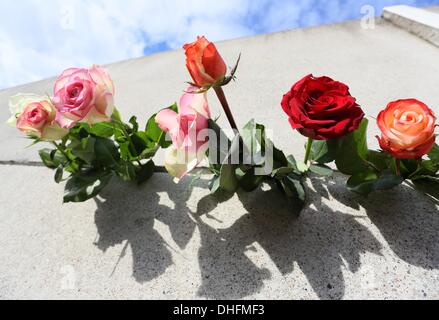 Berlin, Allemagne. 09Th Nov, 2013. Roses coincé dans un fossé du mémorial du mur de Berlin à Berlin, Allemagne, 09 novembre 2013. Photo : STEPHANIE PILICK/dpa/Alamy Live News Banque D'Images