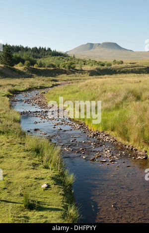 Une rivière menant vers le ventilateur Foel dans l'Fforest Fawr, Brecon Beacons, Pays de Galles, Royaume-Uni. Banque D'Images