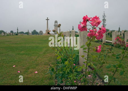 Roses sur la tombe d'un soldat Banque D'Images