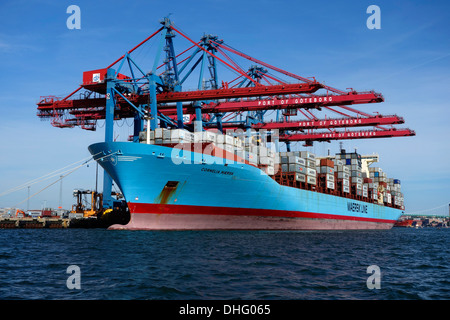 Un conteneur Maersk Cornelia danois cargo pendant le chargement par grue dans le port de conteneurs de Göteborg. La Suède Banque D'Images