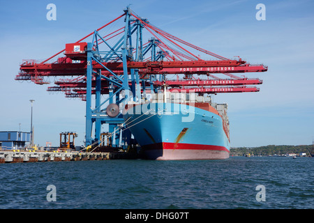 Un conteneur Maersk Cornelia danois cargo pendant le chargement par grue dans le port de conteneurs de Göteborg. La Suède Banque D'Images