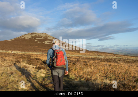 Homme marchant sur la lande chemin de Tre'r Ceiri Age du fer ancien fort de colline sur Yr Eifl, péninsule Llyn, Gwynedd, au nord du Pays de Galles, Royaume-Uni Banque D'Images