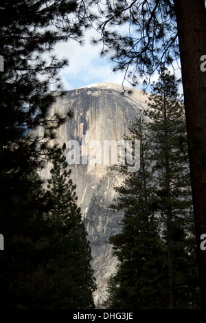 El Capitan, Yosemite National Park, Californie, États-Unis. Banque D'Images